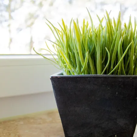 Haus Essen Whg. 22 Apartament Cuxhaven