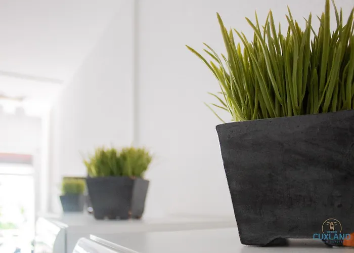 公寓 Haus Essen Whg. 22 库克斯港