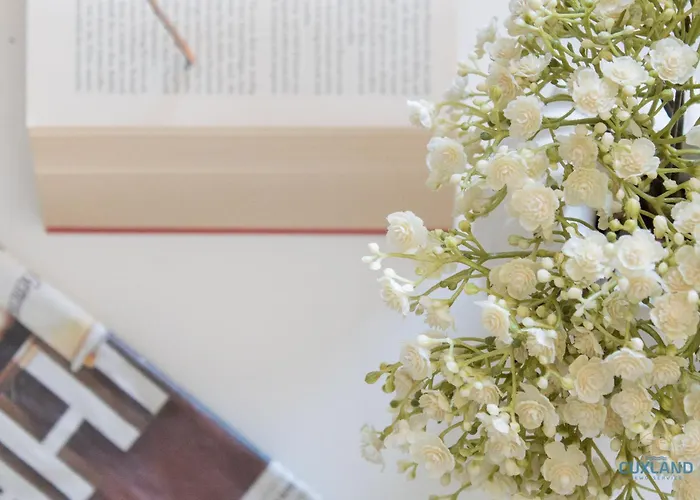 Haus Essen Whg. 22 库克斯港